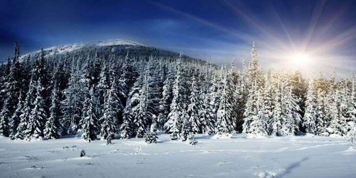 1920x1080 27+ Snow Backgrounds | Wallpapers | Design Trends - Premium PSD