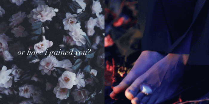 735x1102 Intro Wallpaper