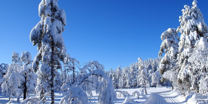 1920x1080 Beautiful Snow Wallpapers (60+ background pictures)