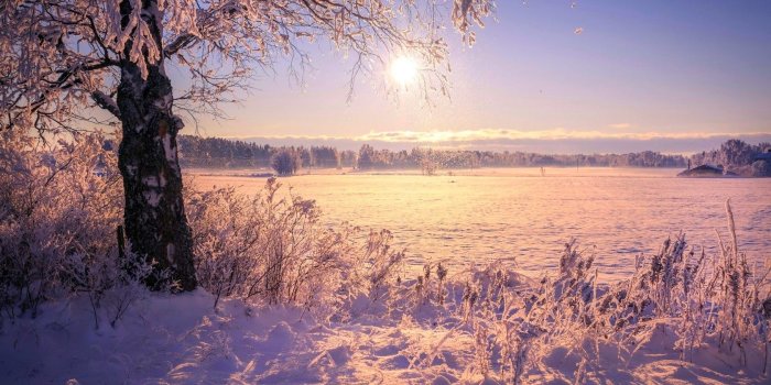 1680x1050 Forests: Blue Sun Beautiful Snow Nature Trees Winter Sky Forest
