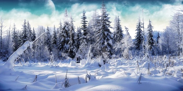 1920x1080 Beautiful snow nature wallpapers Gallery