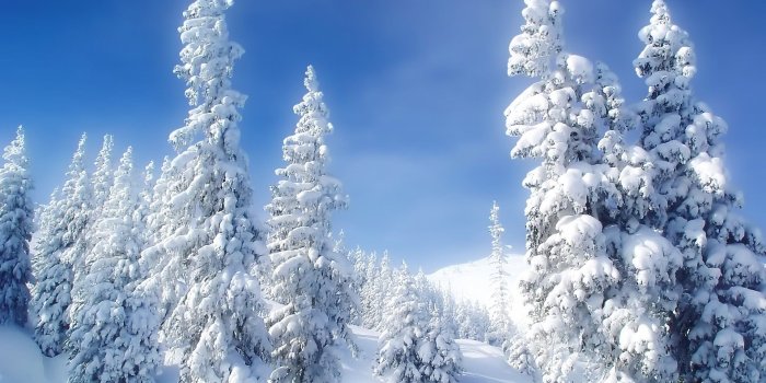 1920x1200 High Definition, Beautiful, Snow, Lovely, Nature, Background Images