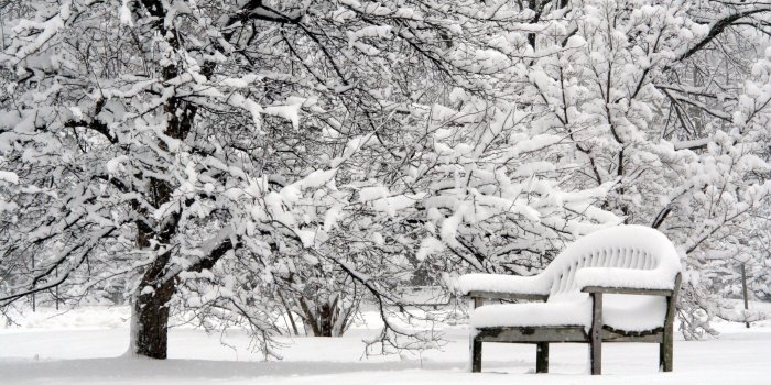 2560x1600 10 Top Beautiful Snow Falling Wallpapers FULL HD 1080p For PC