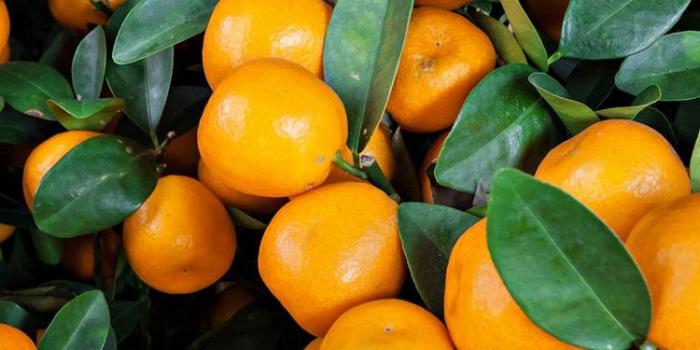 750x1334 Orange Fruit Wallpapers