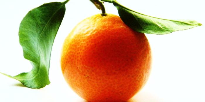 1920x1200 Orange Fruit Wallpaper_1919 #7012847