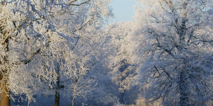 1080x1920 87+ Snow Iphone Wallpapers on WallpaperPlay