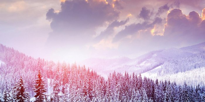 1440x900 Beautiful Snow Trees in winter Landscape | Download Wallpapers