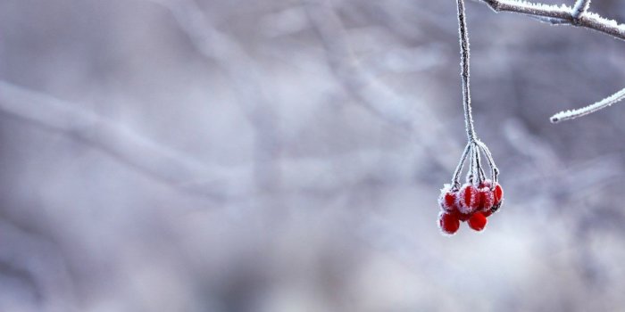 1366x768 Winter: Sun Sky Blue Beautiful Snow Trees Wallpaper Winter 3d HD 16