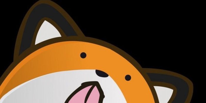 800x1200 Download wallpaper 800x1200 stupid fox, fox, language, on the other