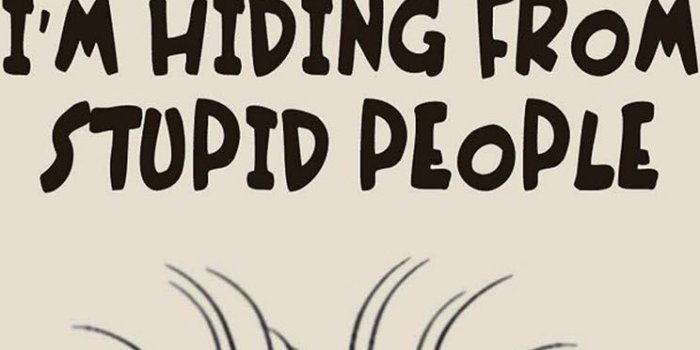 744x1392 Minions stupid people - The iPhone Wallpapers