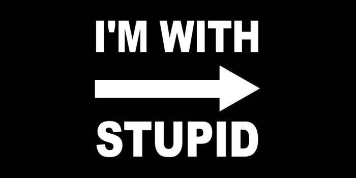1440x1280 Im with Stupid Wallpaper by ClemKrym - f1 - Free on ZEDGE™