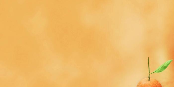 1600x1200 Getcliparts : Visual Communication Designs » Blog Archive » Orange