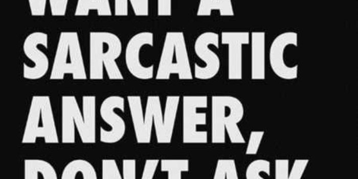 944x1334 Funny Stupid Wallpapers Iphone ✓ Fitrini's Wallpaper