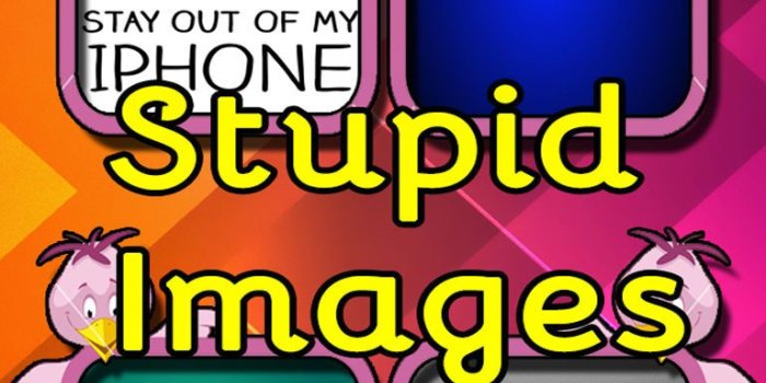 768x1024 Fun Gallery- Best Funny and Stupid HD Wallpapers for iPhone and iPad