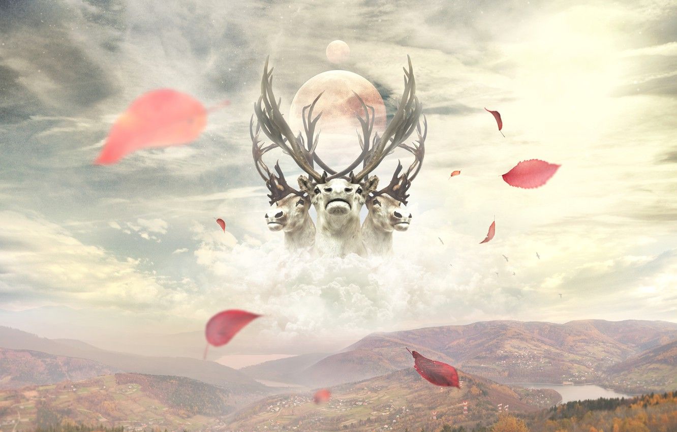 1332x850 Wallpaper leaves, clouds, mountains, collage, desktop, wallpaper