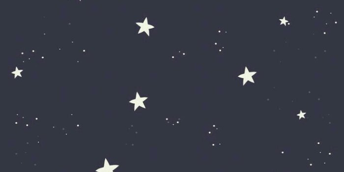736x1308 black, white, star, cool, sky, wallpaper, iphone, phone, beatiful