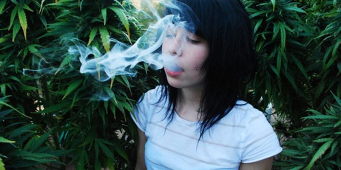 1920x1080 Hot Stoner Chick Weed Pad Gorilla Grow Wallpaper | Weed Wallpapers