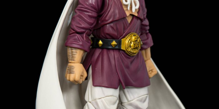 1638x2048 Mr. Satan (Hercule) S.H. Figuarts Dragonball Z Gallery - The Toyark