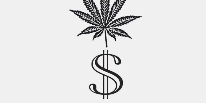 750x1334 10 Wallpaper Girl Weed - Download Wallpaper HD For PC Computer & Android