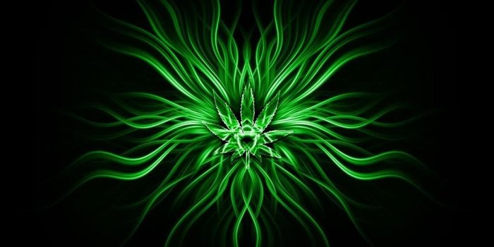 1024x768 Girl Weed Wallpapers (88+ images in Collection) Page 2