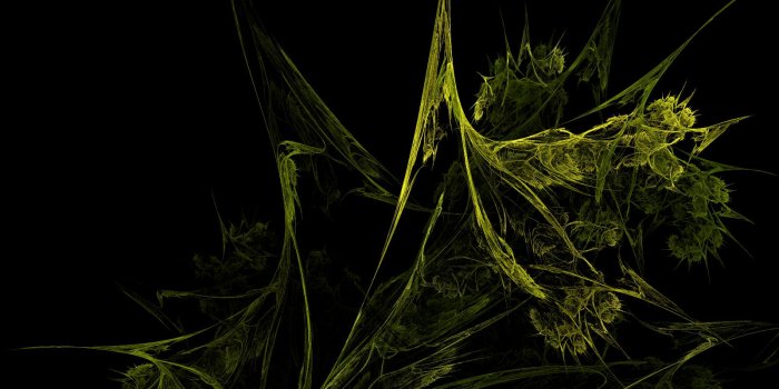 1600x1200 Black Marijuana HD Wallpapers