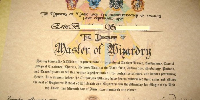 1024x768 All Tangled Up: Harry Potter documents gift