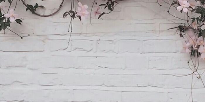 720x1227 Great place to take family photo