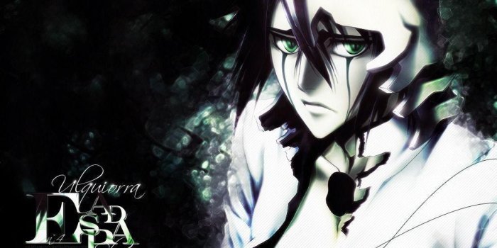 1024x768 Bleach Ulquiorra Wallpapers