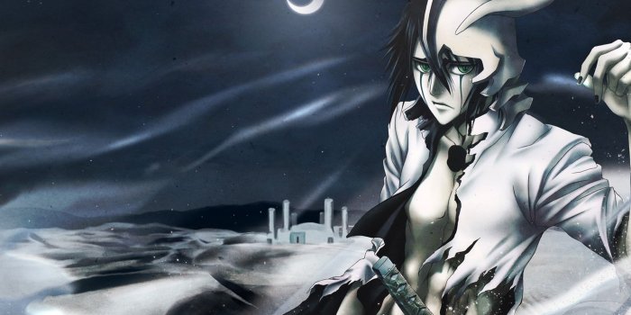 2560x1600 HD wallpaper: Bleach movie, anime, Kurosaki Ichigo, Ulquiorra Cifer
