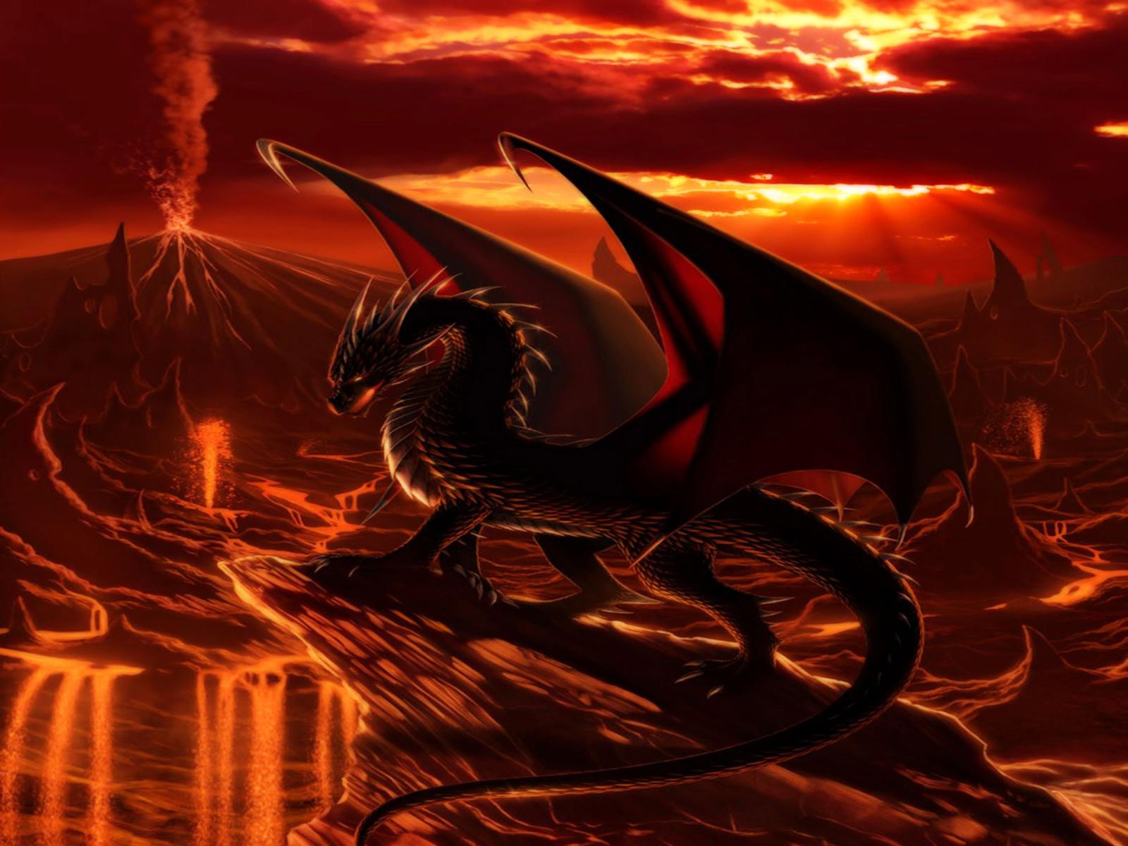 2560x1920 Dragon HD Wallpaper | Background Image | 2560x1920 | ID:121943