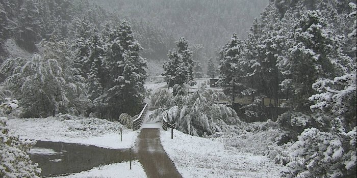 1920x1080 Snow blankets the Black Hills