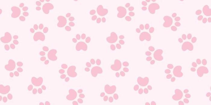 750x1334 iPhone and Android Wallpapers: Pink Paw Print Wallpaper for iPhone