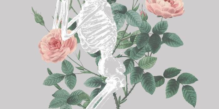 736x1308 Aesthetic Gray Wallpaper Iphone