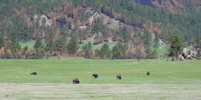 1600x1200 Black Hills / Eastern Wyoming - Final Thoughts | Jean's Running Café