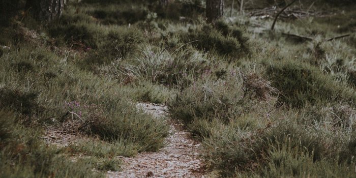 1024x768 Partnering with Black Hills Trails – Westward Wandering Co.