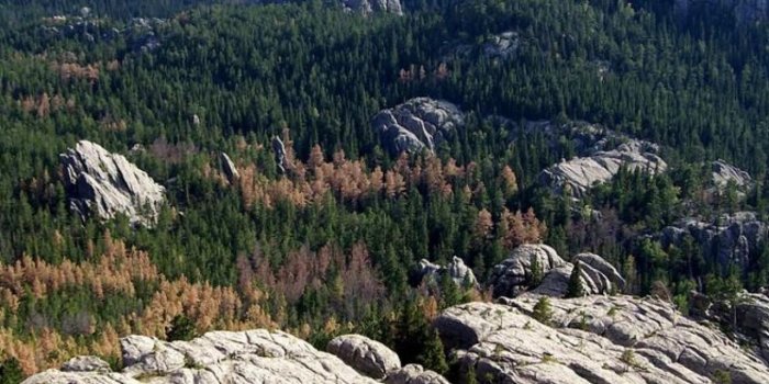 1280x1024 Free download black hills south dakota wallpaper 48690 HQ Desktop