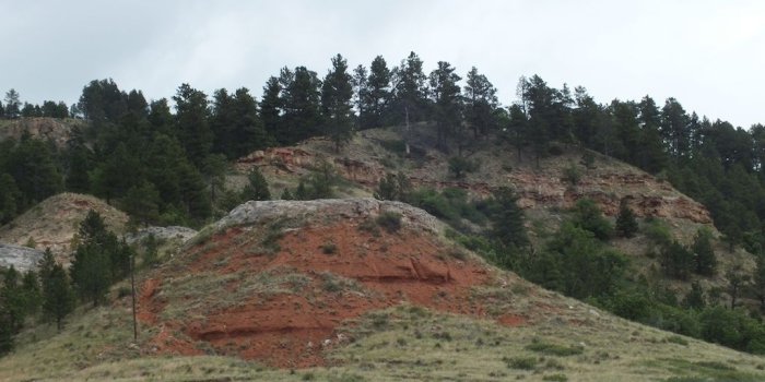 1024x768 The Black Hills, Part 1 | Updates from the Paleontology Lab