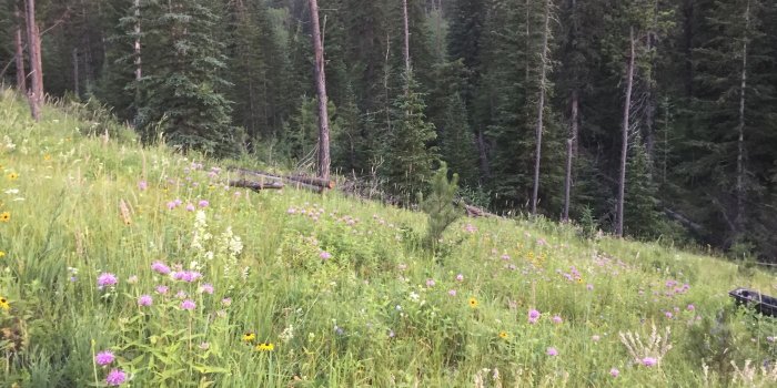 1400x1050 6.27 acres in Black Hills of South Dakota, Surrounded by Miles of US Forest