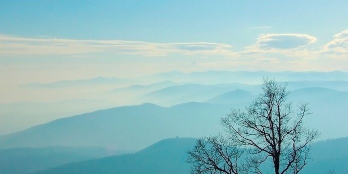 1280x1024 1280x1024 Blue Hills & Black Trees desktop PC and Mac wallpaper