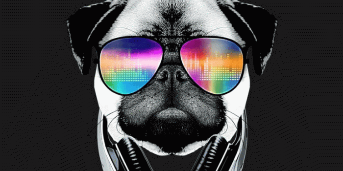 768x1024 Ivy Mhae Santiaguel on aesthetic | Dog wallpaper iphone, Dog