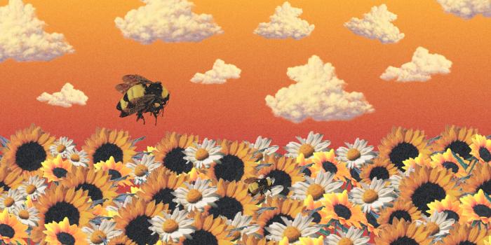 2880x1620 Flower boy custom mobile and desktop wallpapers by me! : OFWGKTA