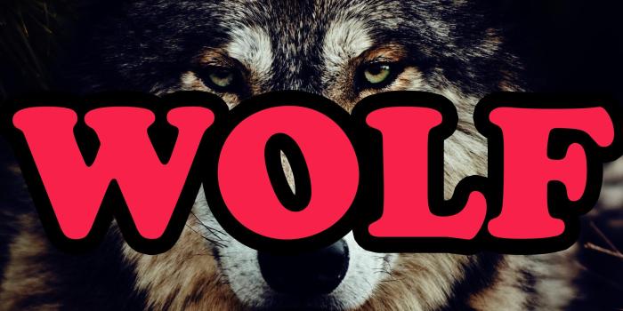 2500x1600 Odd Future Wallpaper Hd (40+), Find HD Wallpapers For Free