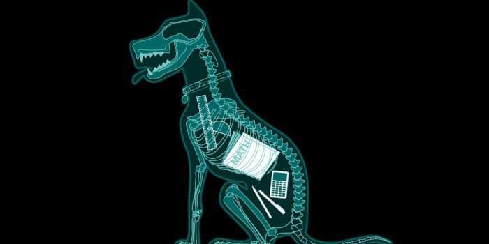 2048x2048 Cool Dog Wallpapers - Top Free Cool Dog Backgrounds - WallpaperAccess