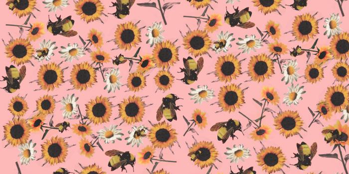 2880x2560 Flower Boy Tyler the Creator Wallpapers - Top Free Flower Boy Tyler