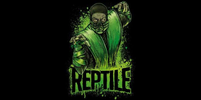 1332x850 Wallpaper green, fighter, ninja, art, Mortal Kombat, Reptile images