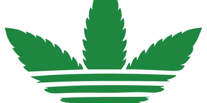 1024x784 Weed PNG HD Transparent Weed HD.PNG Images. | PlusPNG