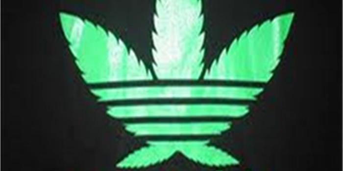 1024x1024 Adidas Wallpaper Weed | larmoric.com