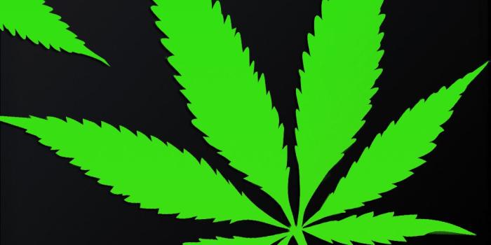 1080x1920 420 Logo Wallpaper - Кинозавр