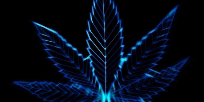 1440x1080 Weed Desktop HD Wallpapers - THIS Wallpaper