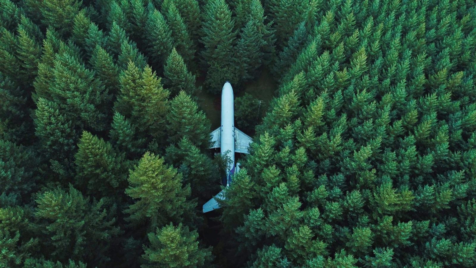 1920x1080 1920x1080 Plane In Middle Of Forest 4k Laptop Full HD 1080P HD 4k